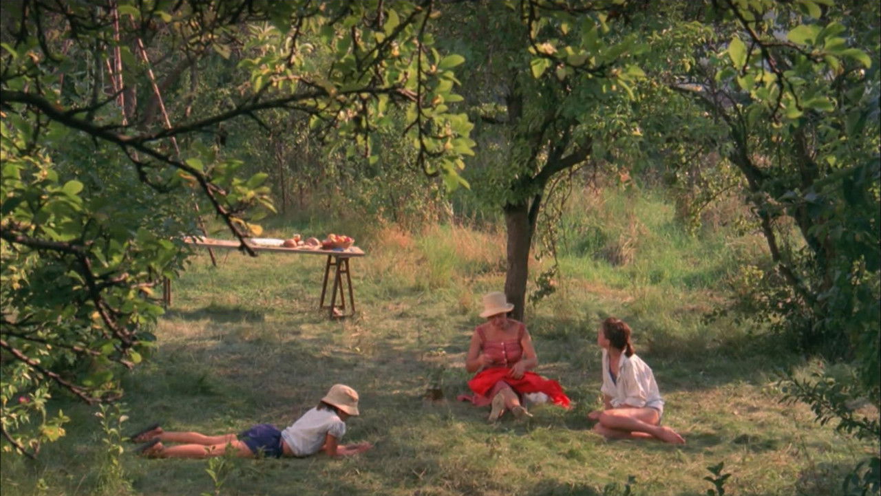 Celles qui restent backdrop