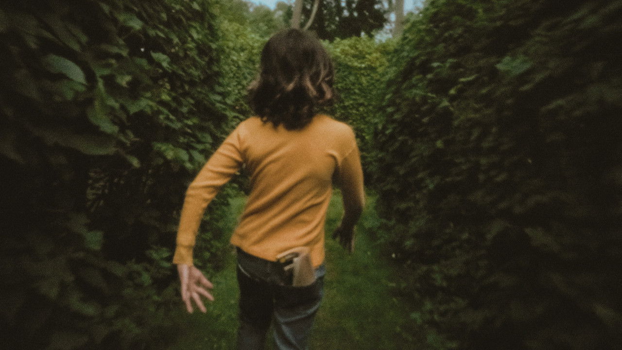 In and Out of the Hornbeam Maze backdrop