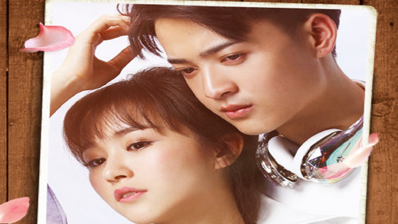 True Love, Liar, Little Love backdrop