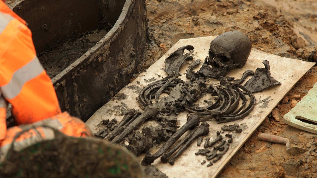 Britain's Biggest Dig backdrop