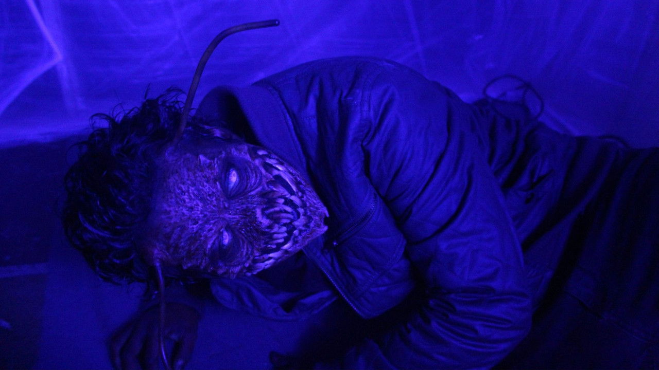 The Metamorphosis Experiment backdrop