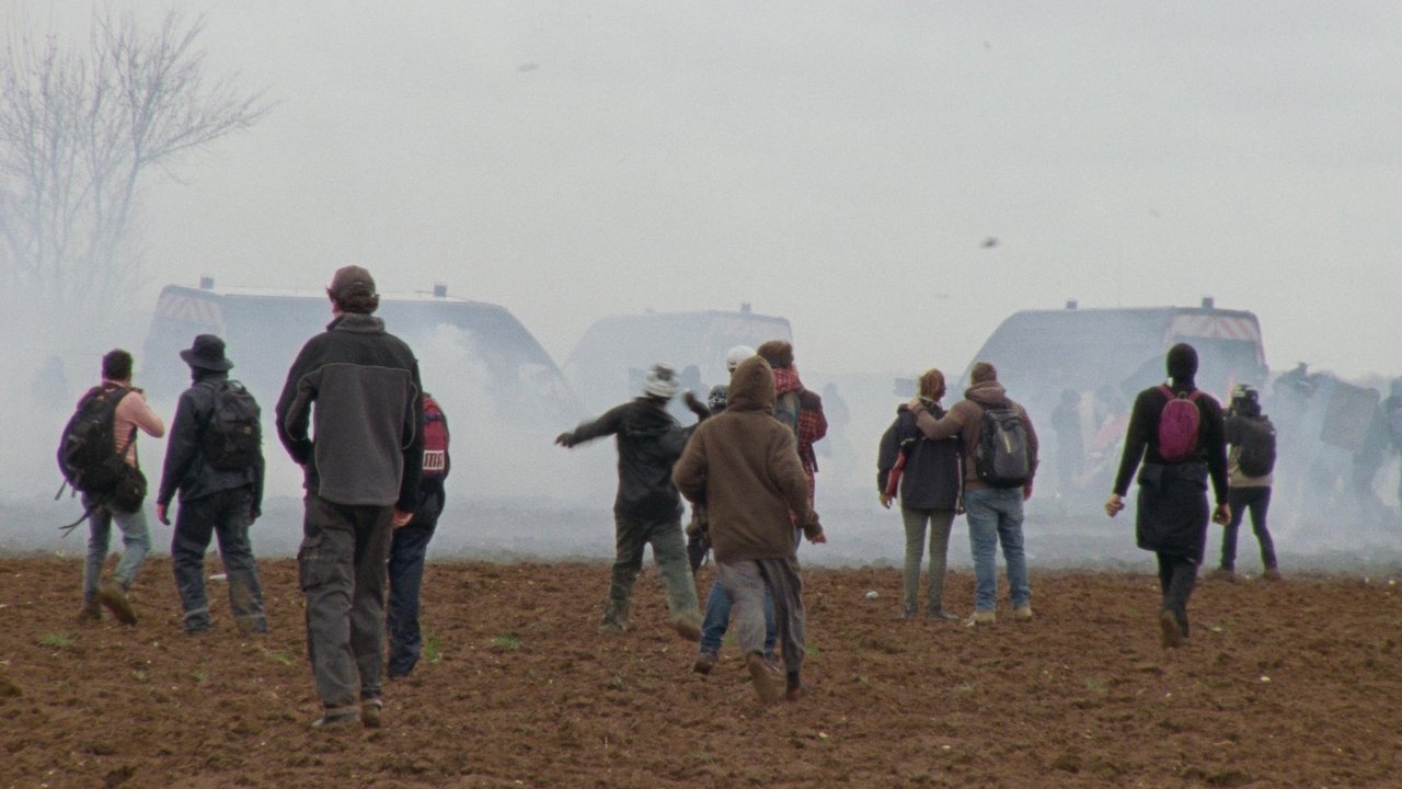 Direct Action backdrop