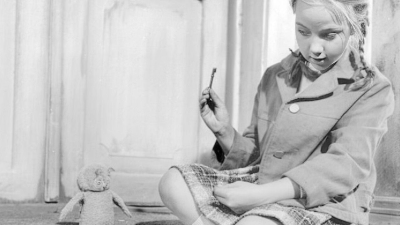 Owls in the Marsh backdrop