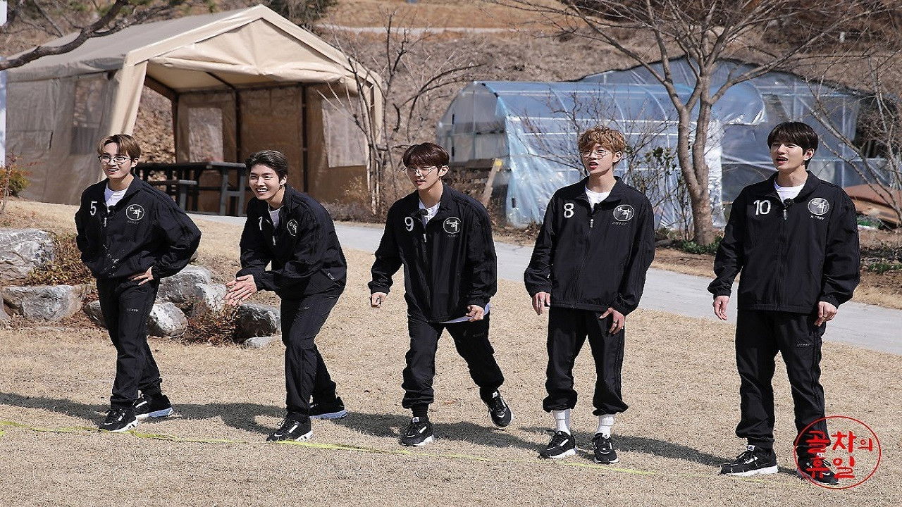 Gol-Cha's Holiday backdrop