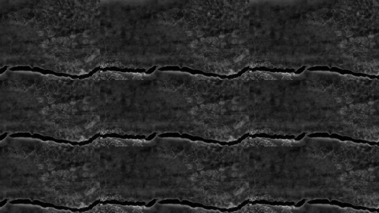 A Radical Film backdrop