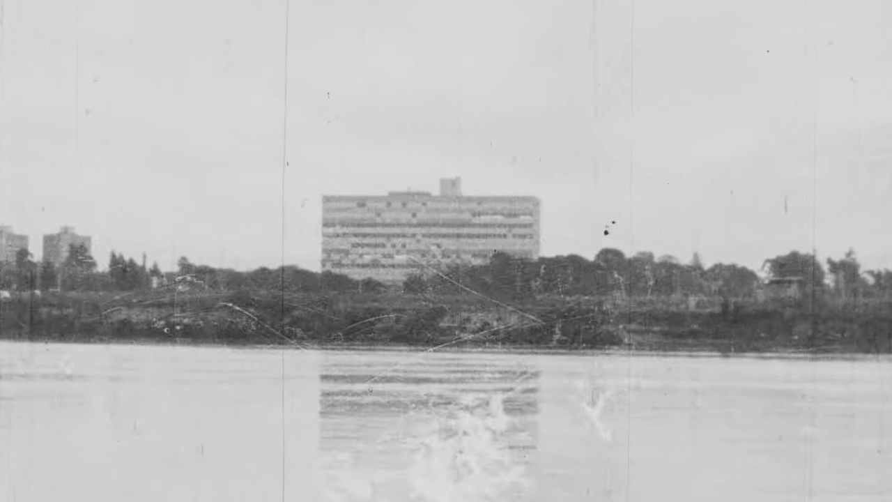 Puerto Piojo backdrop