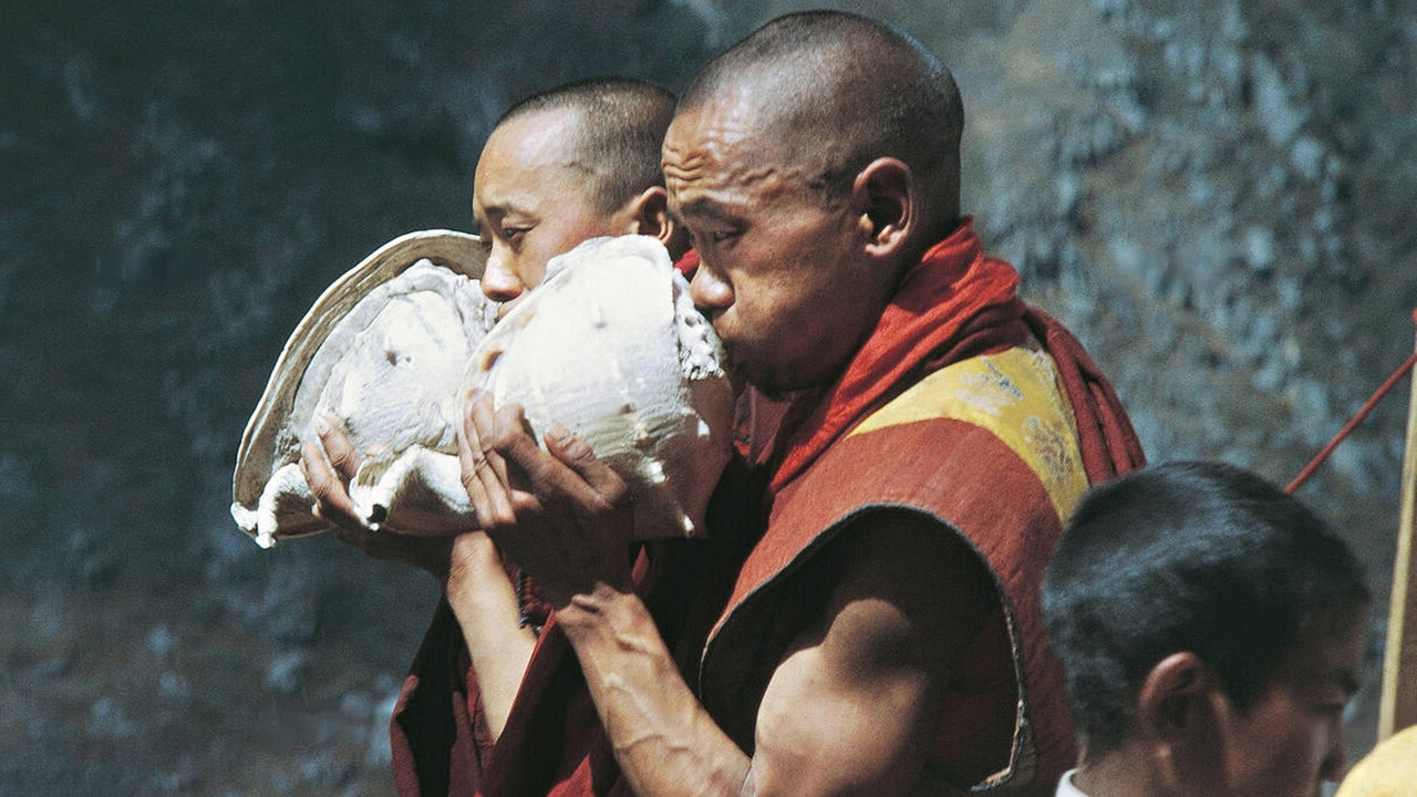 Les Danses de Tami backdrop