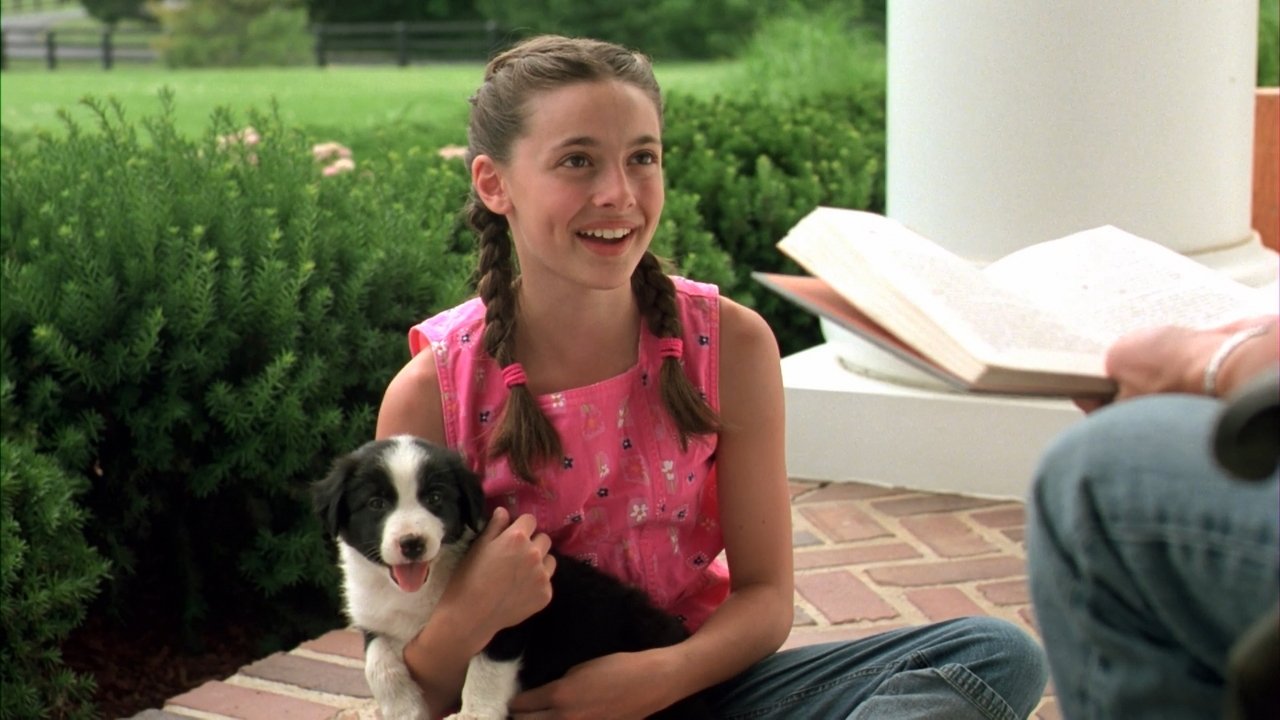 All Roads Lead Home backdrop