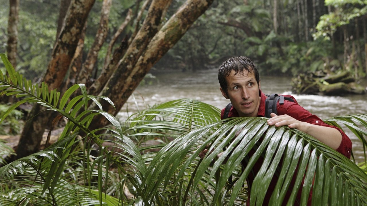 Willi and the wonders of this world backdrop