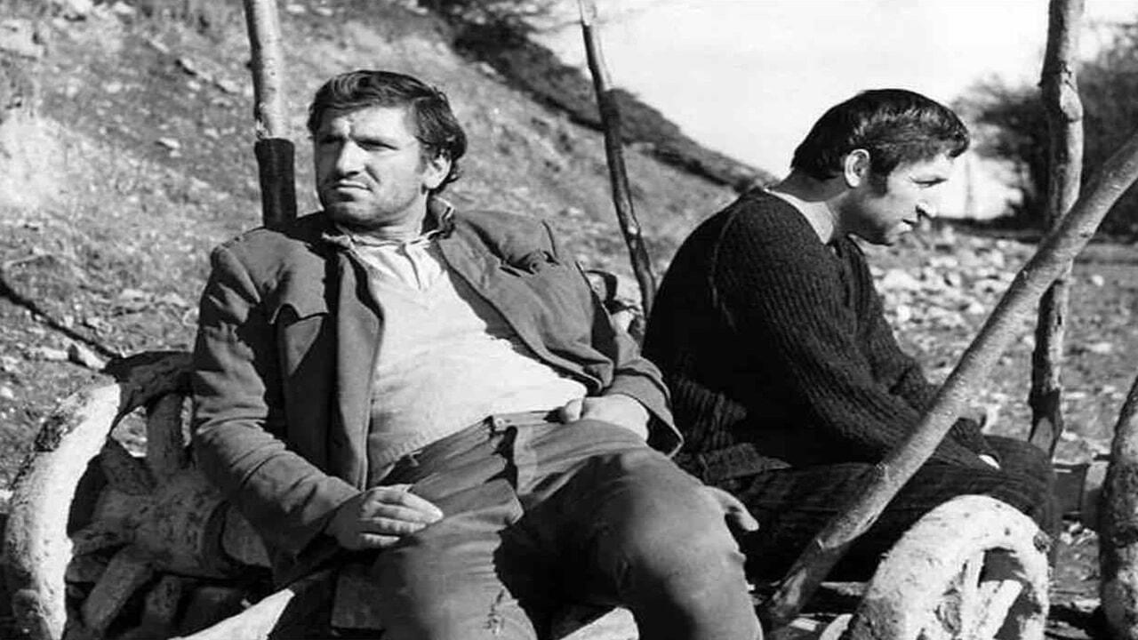 The Man from the Oak Forest backdrop