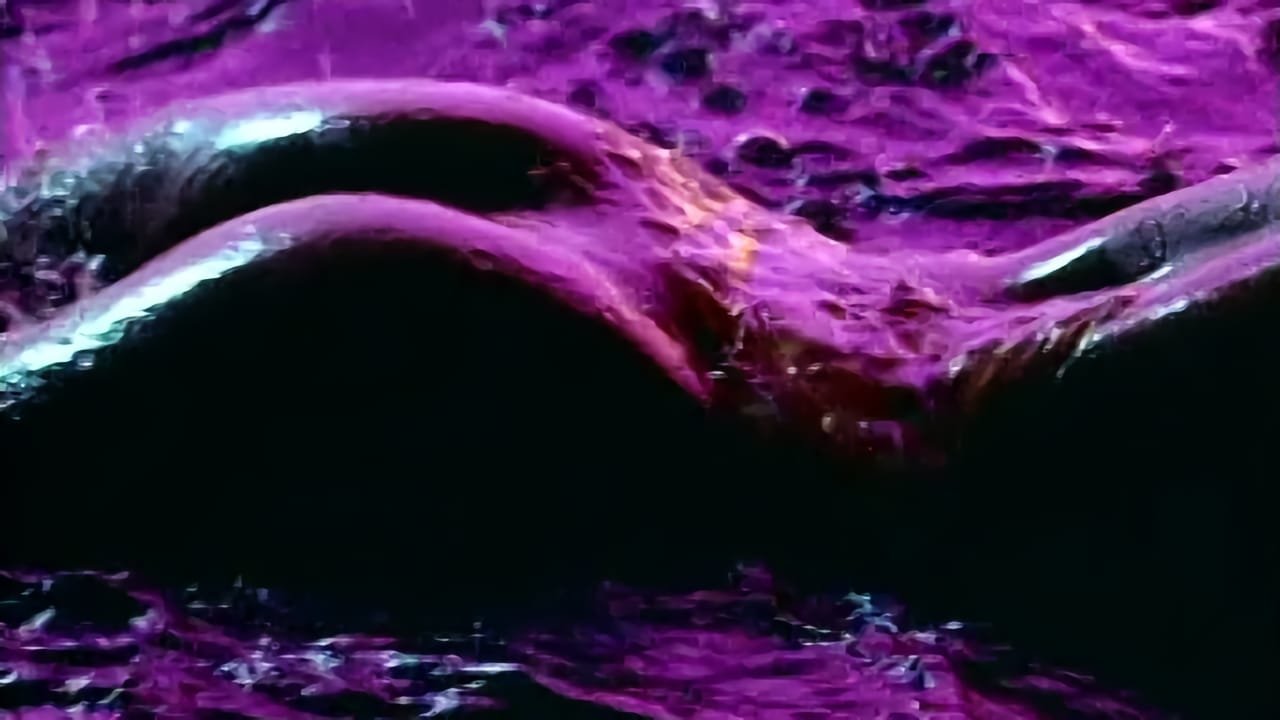 Playboy's Wet & Wild backdrop