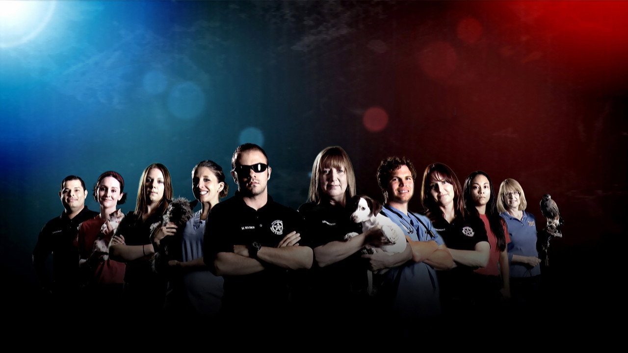 Animal Cops: Houston backdrop