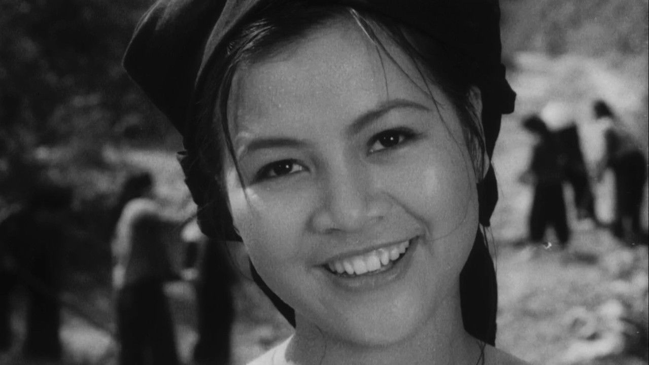 Fire at the Rear backdrop