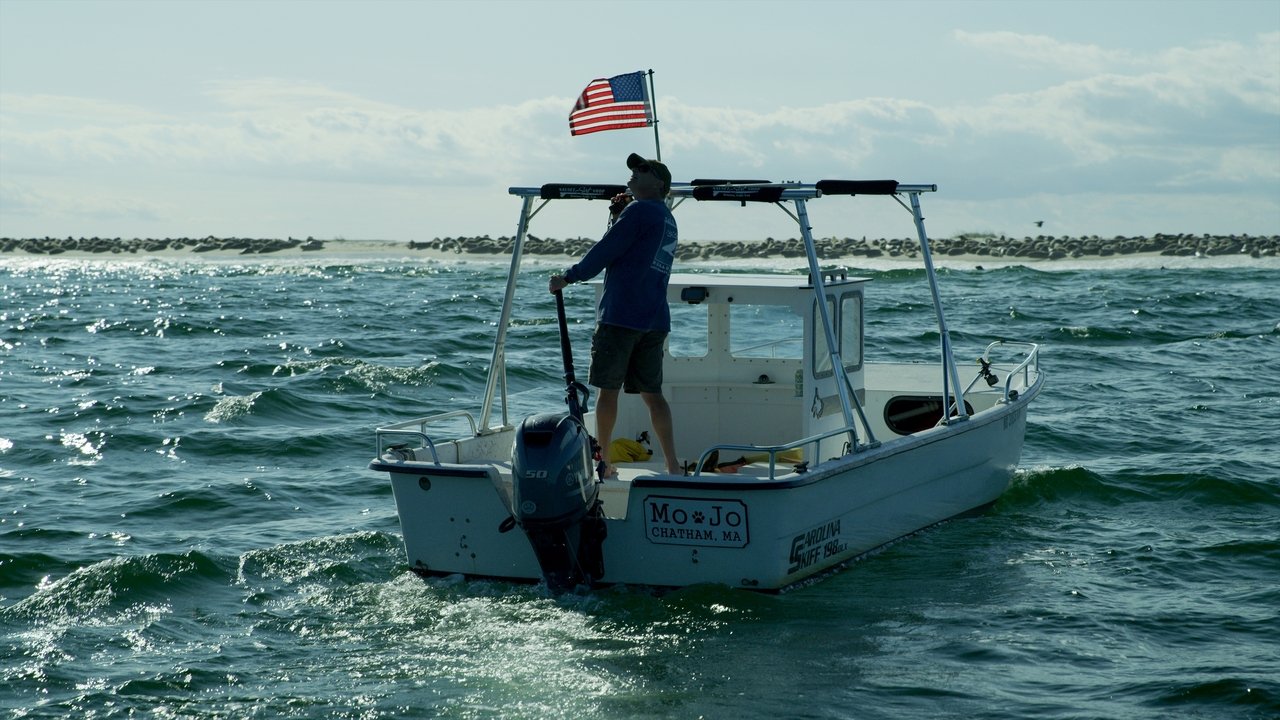 Great White Summer backdrop