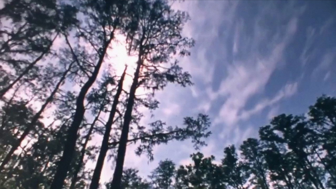 Wilderness: A Country in the Mind backdrop