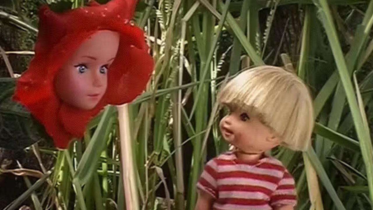 Plata segura backdrop