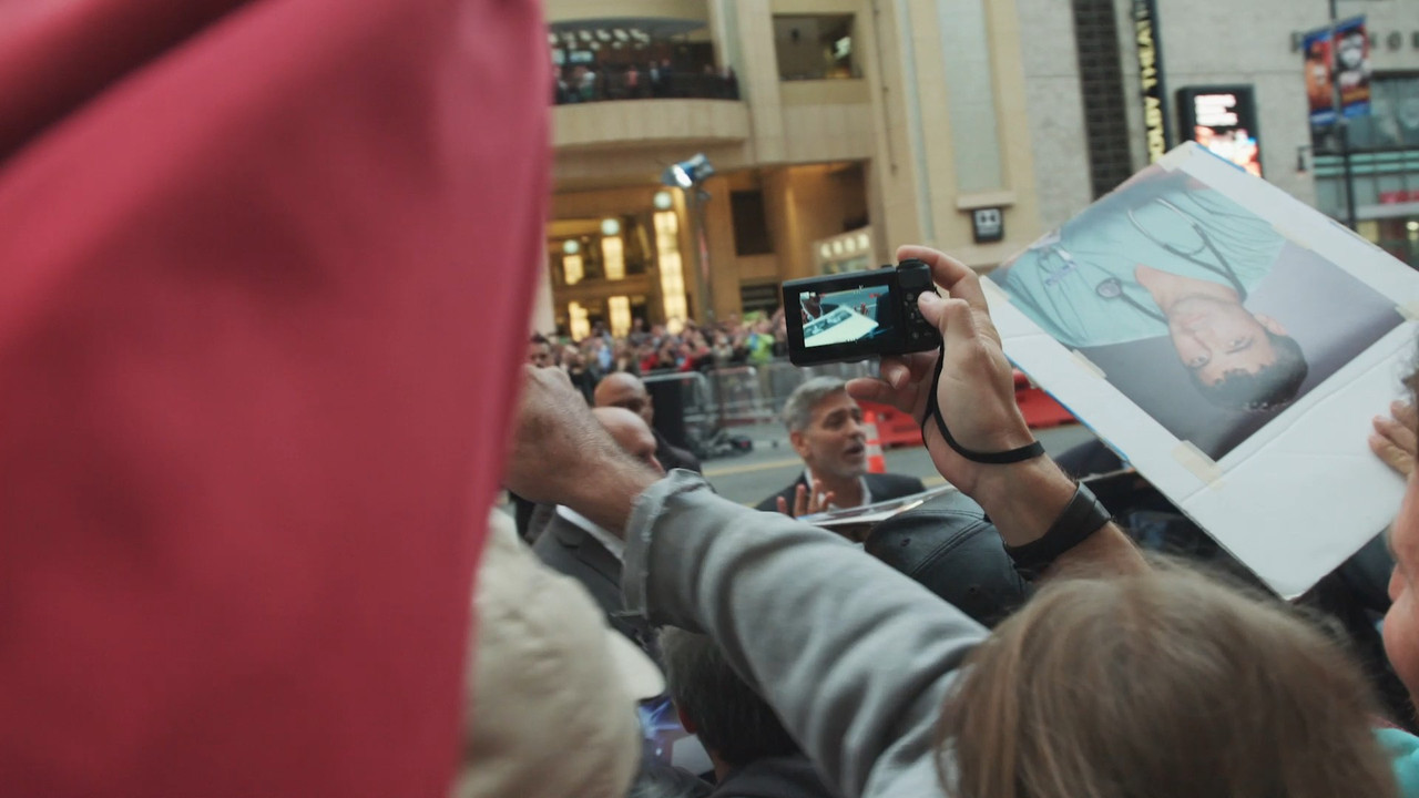 Hollywood Signs backdrop