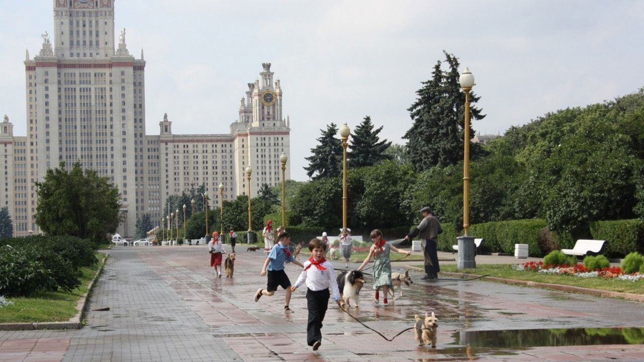 Dog's Paradise backdrop