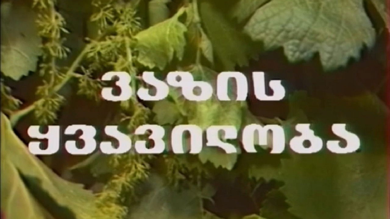 ვაზის ყვავილობა backdrop