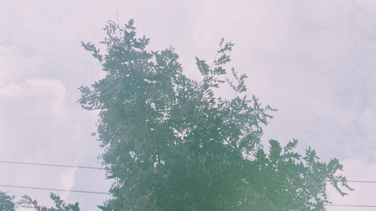 Beyond The Alps backdrop