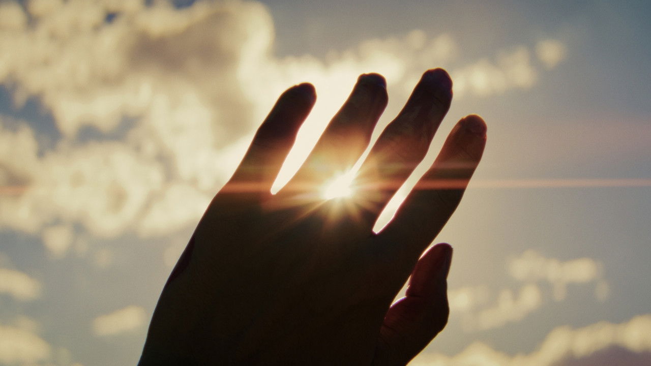 The Way of the Wind backdrop