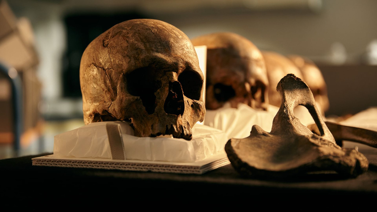 World's First Battlefield backdrop