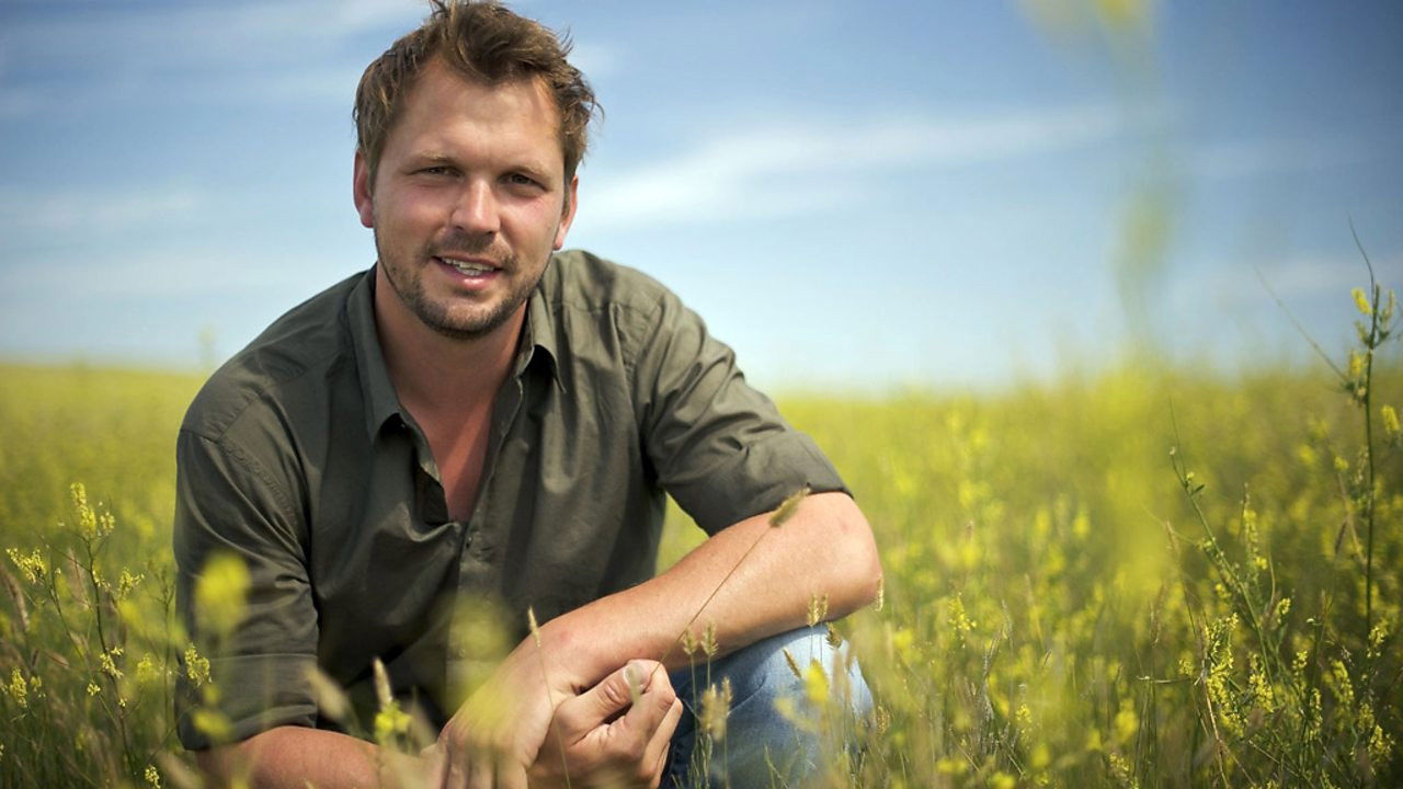 Jimmy's Global Harvest backdrop