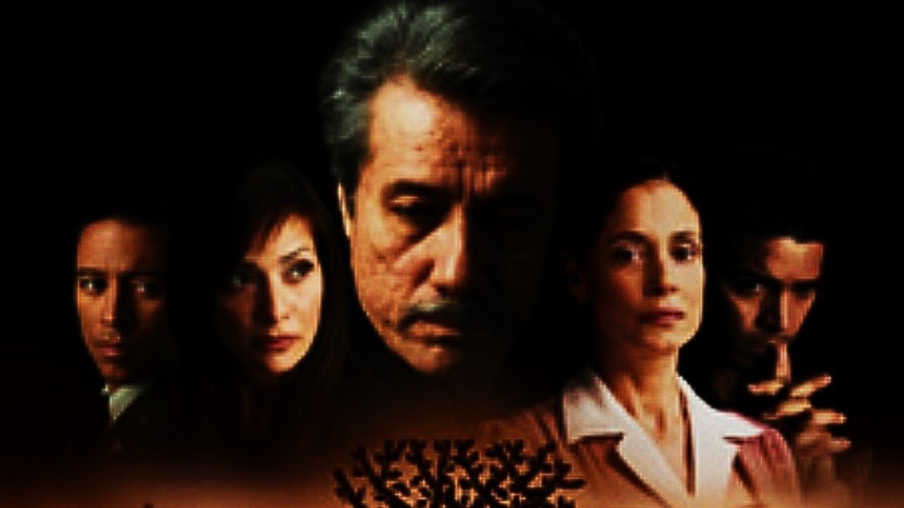 American Family backdrop