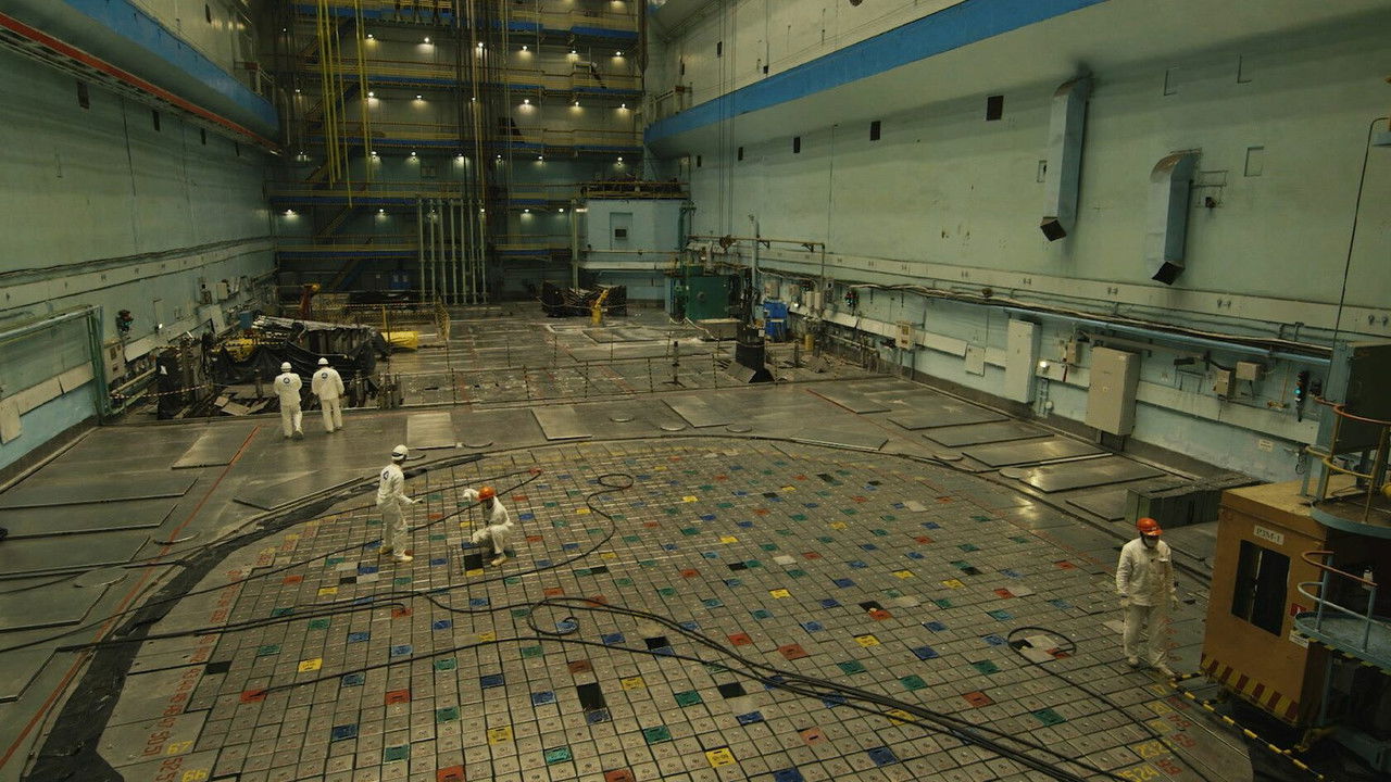 Wild Flowers backdrop