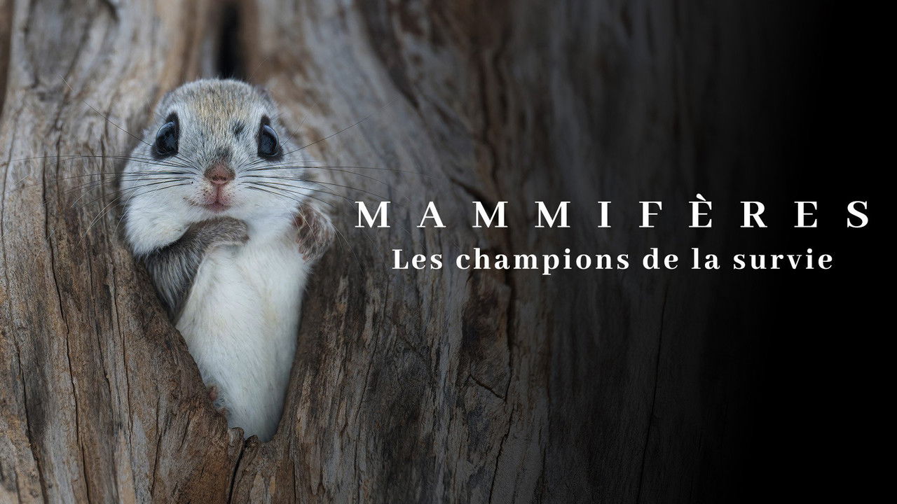 Mammifères, les champions de la survie backdrop