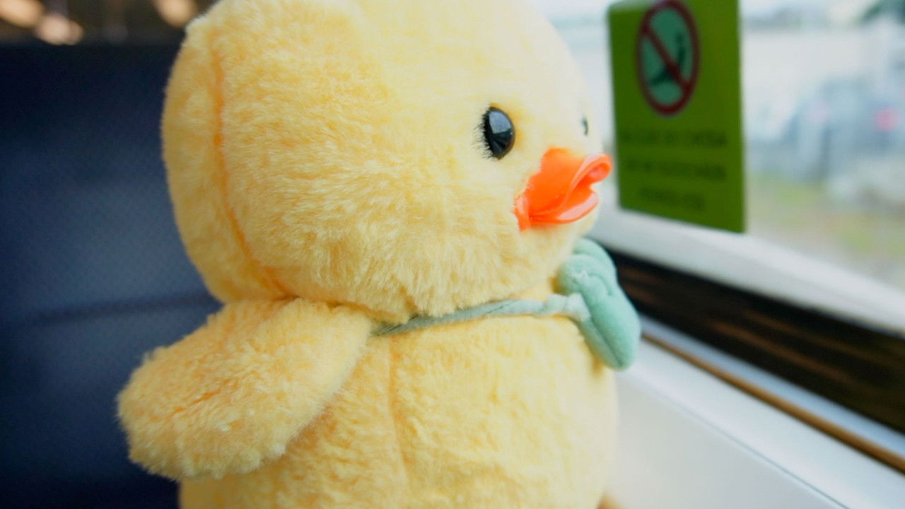 A Duckumentary backdrop