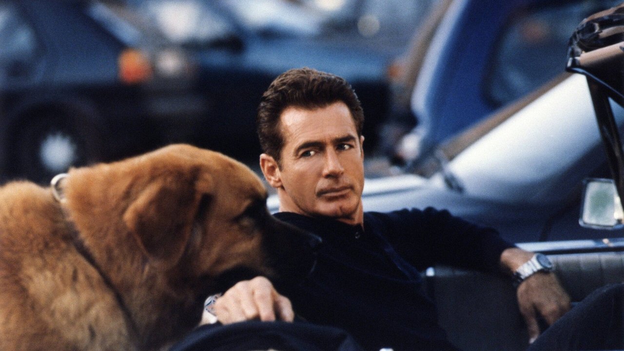 The New Adventures of Tequila & Bonetti backdrop