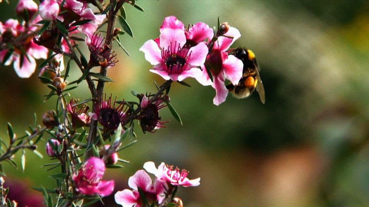 Our Necessity for Comfort backdrop