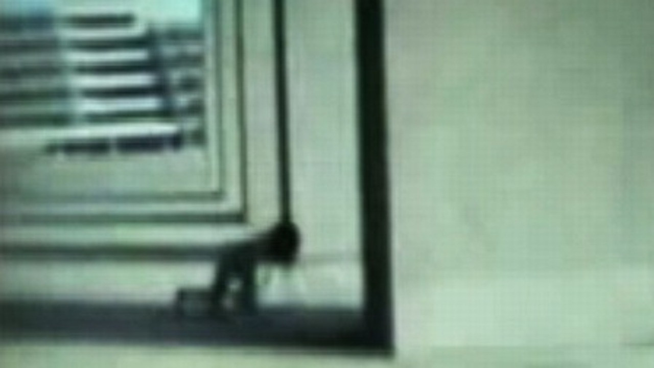 Johnny Crawl backdrop