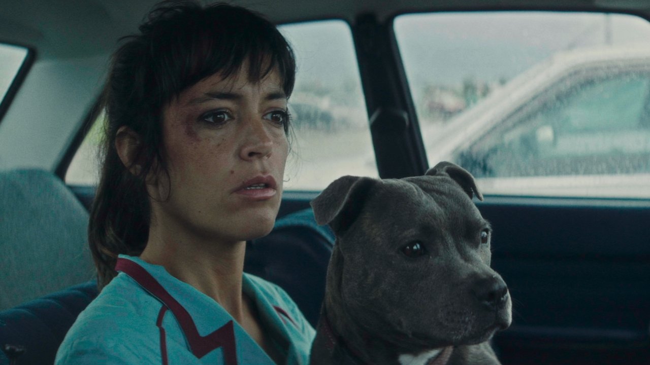 Vincent Must Die backdrop