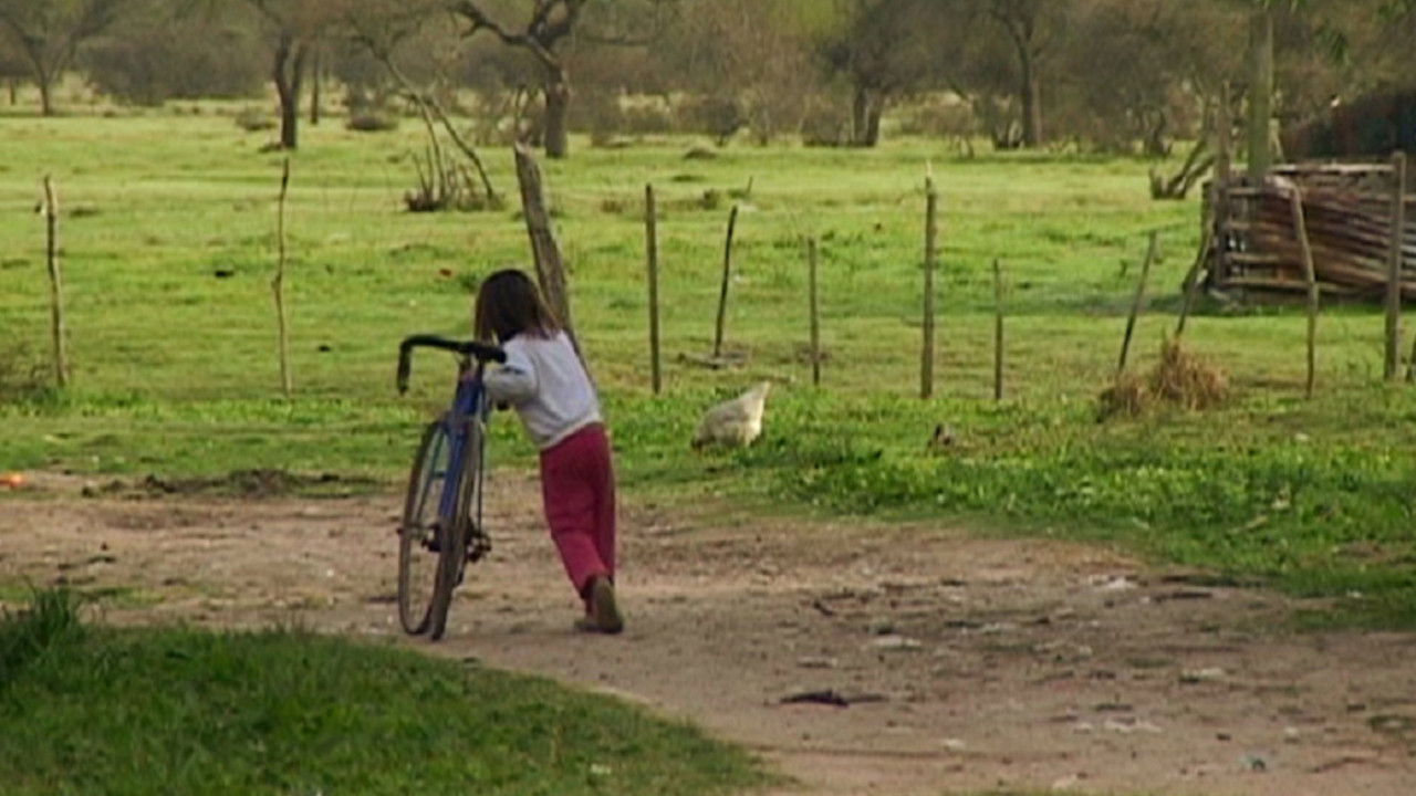 The Shore That Falls backdrop