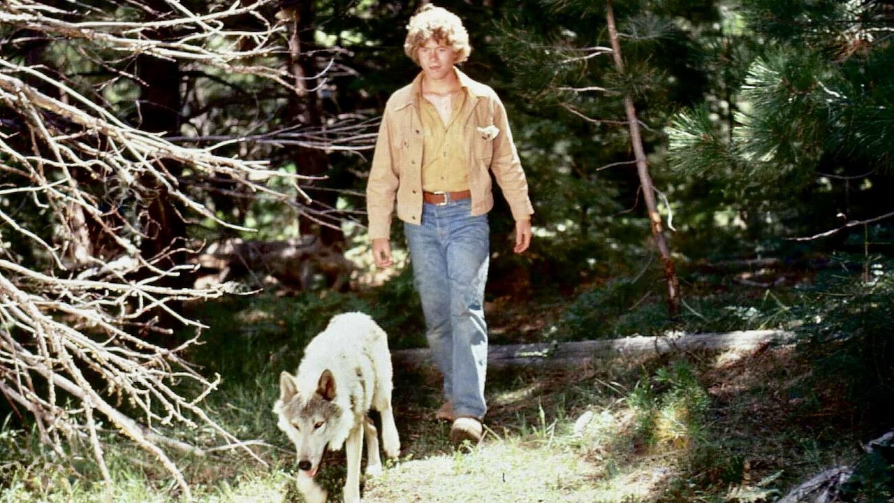 The Flight of the Grey Wolf backdrop