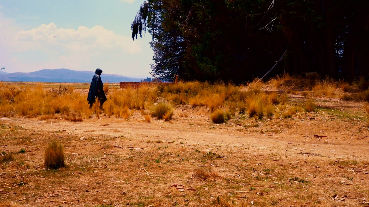 Ante Meridiem (a.m.) backdrop