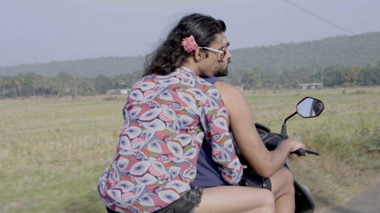 Does Your House Have Lions backdrop