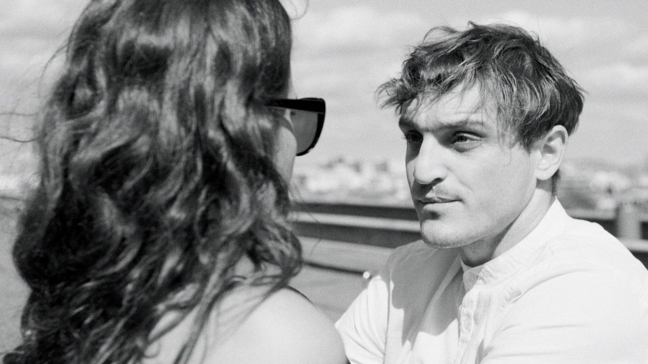 Figaros Wölfe backdrop