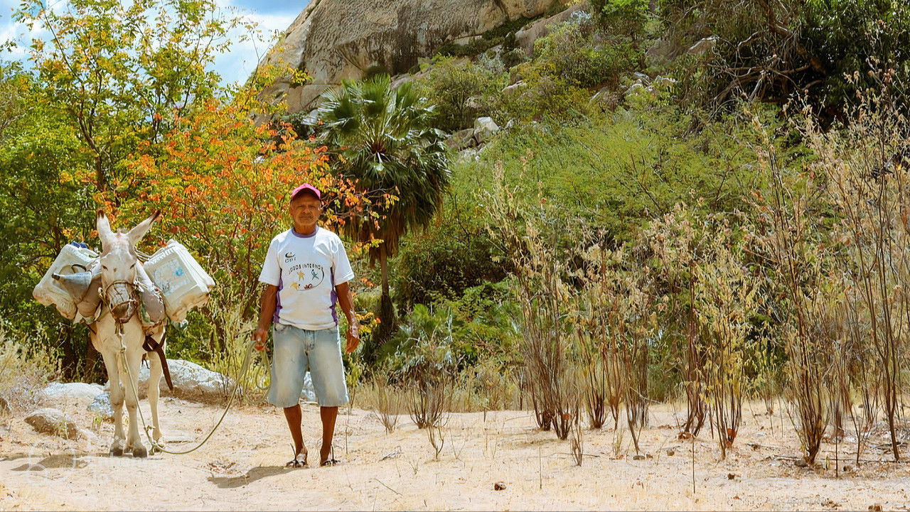 Olho D'Água backdrop