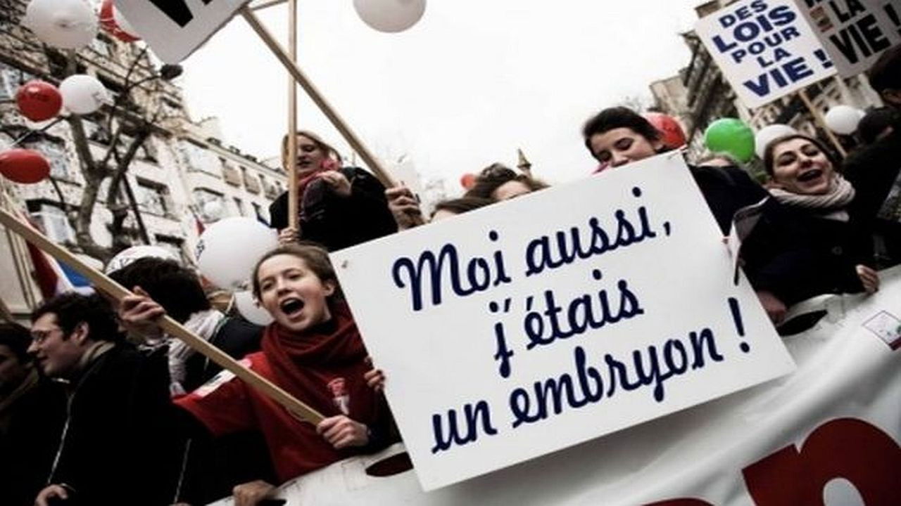 Avortement, les croisés contre-attaquent backdrop