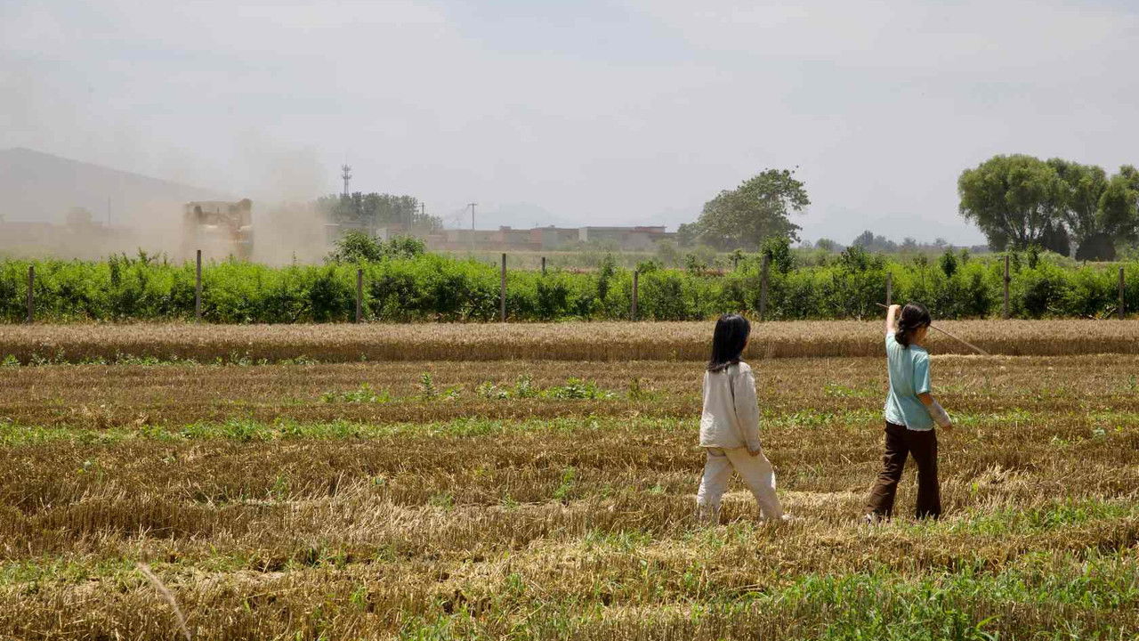 Nighttime Sounds backdrop