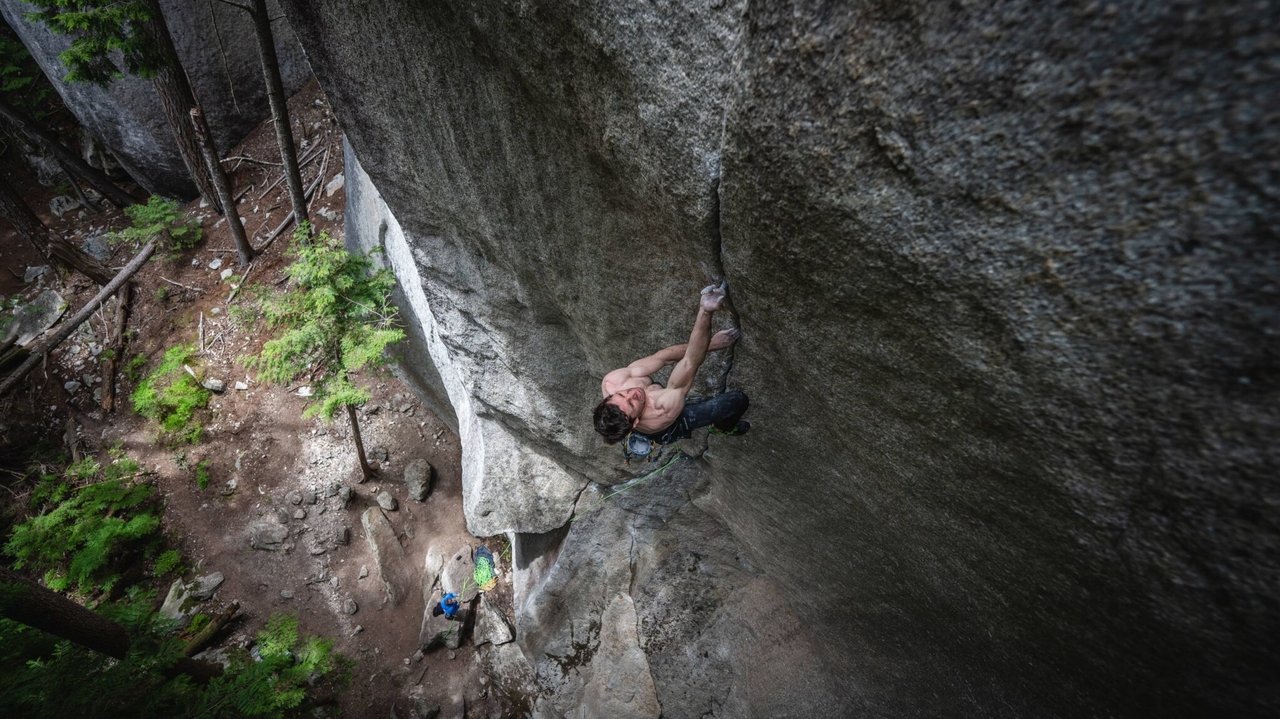 The Cobra and the Heart backdrop