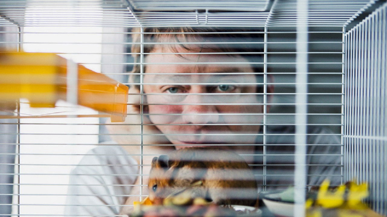 Der Hamster backdrop