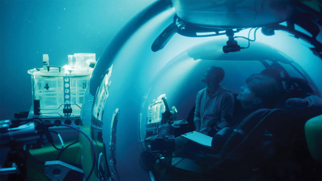 A Life Illuminated backdrop