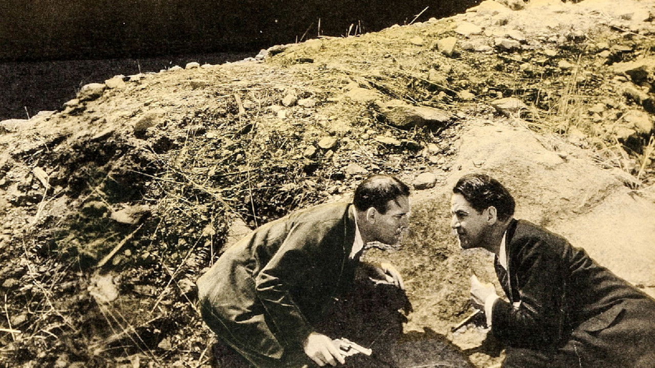 The Midnight Taxi backdrop