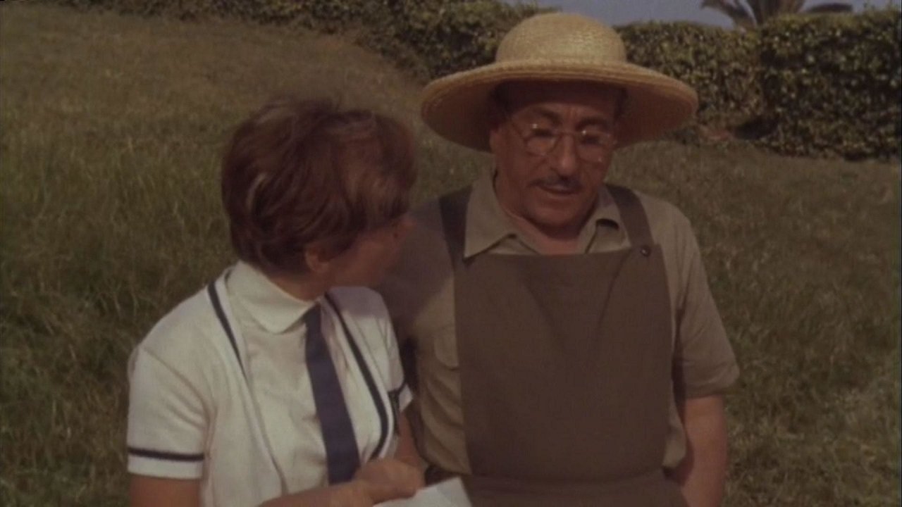 Rita the Mosquito backdrop