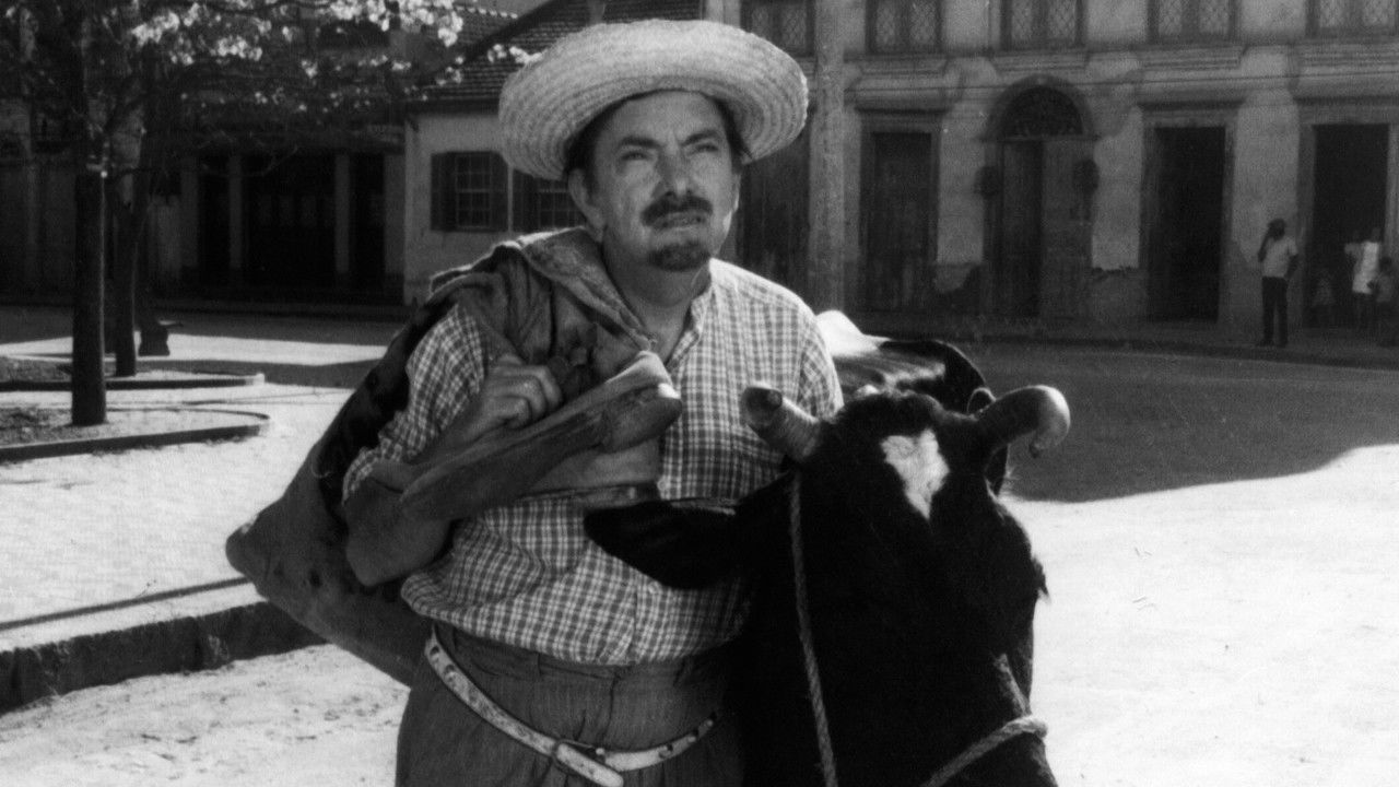 No Paraíso das Solteironas backdrop