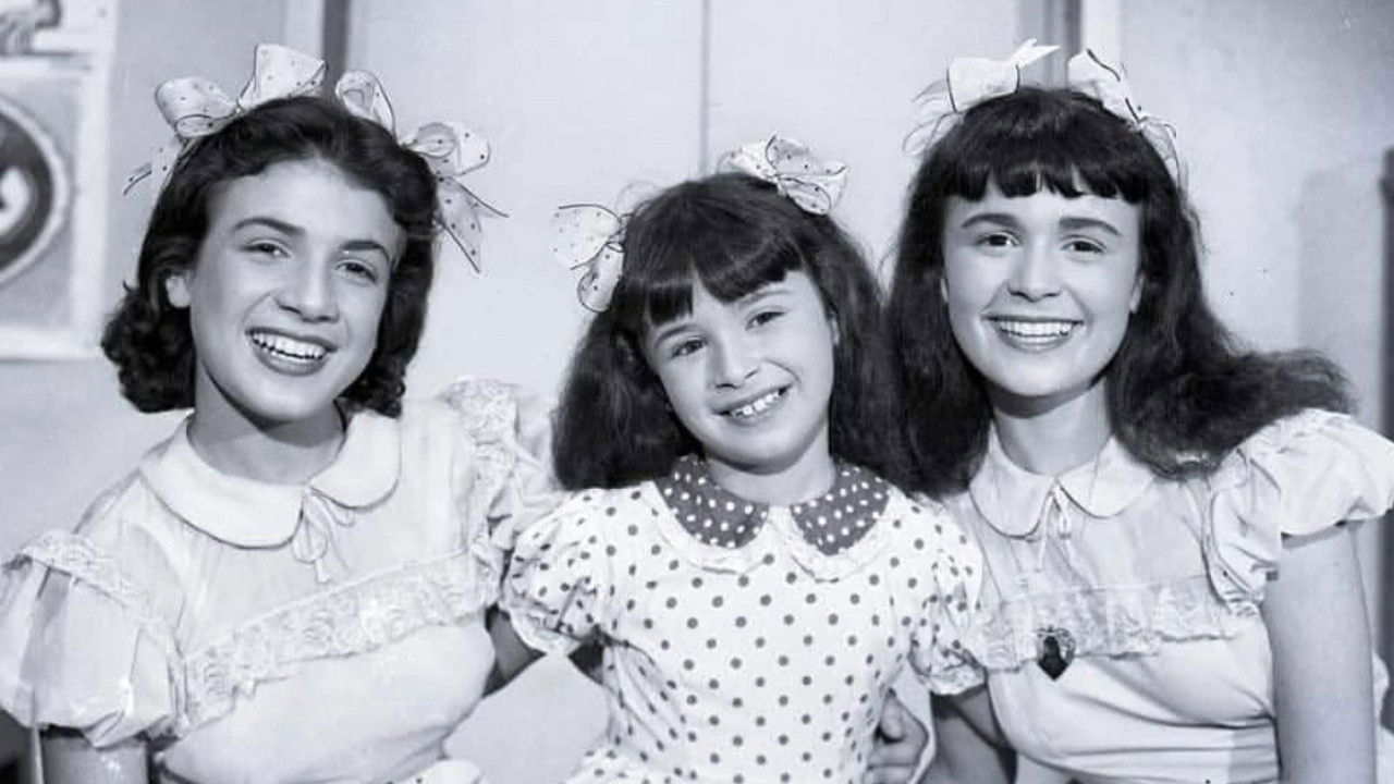 Birds of Paradise backdrop